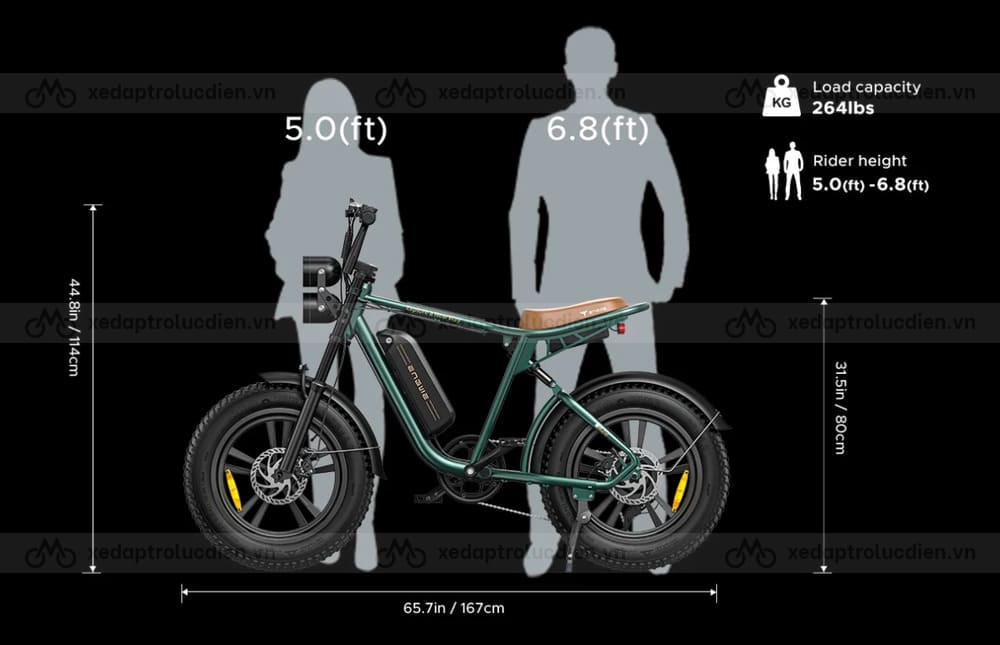 Thông số kỹ thuật xe đạp trợ lực điện Engwe M20 