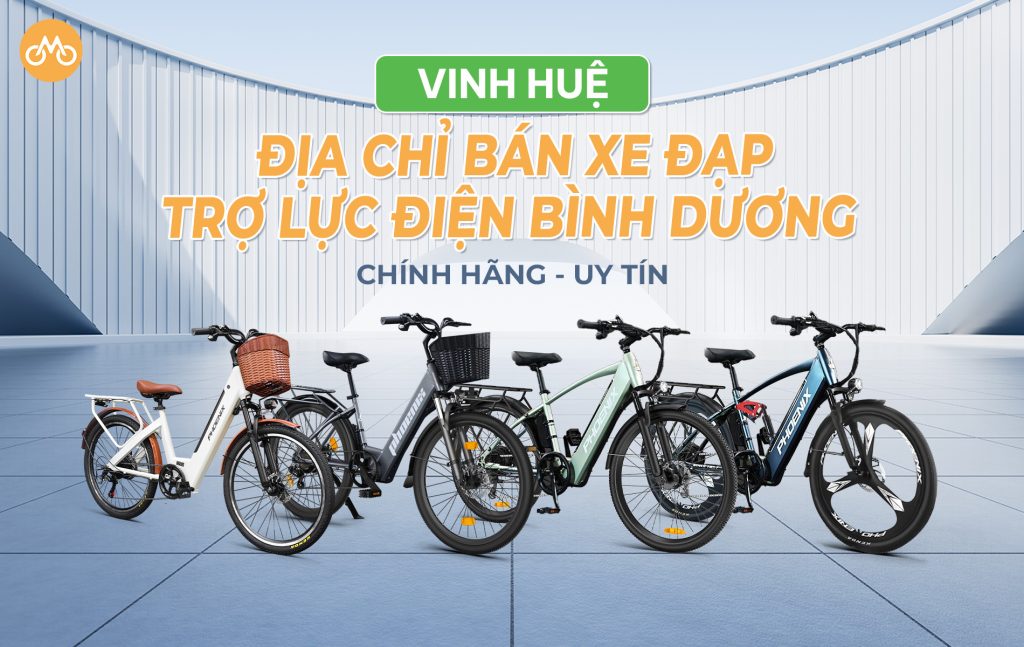 Vinh Huệ - Địa chỉ bán xe đạp trợ lực điện tại Bình Dương chính hãng, uy tín