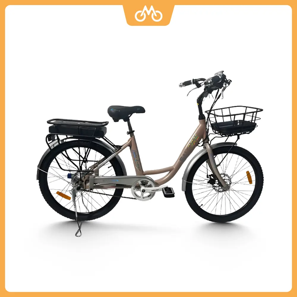 Xe đạp trợ lực điện Salllway Lady 24/02