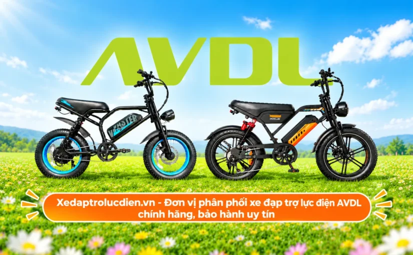 Xedaptrolucdien.vn - Đơn vị phân phối xe đạp trợ lực điện AVDL chính hãng, bảo hành uy tín