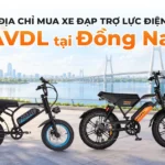 Địa chỉ mua xe đạp trợ lực điện AVDL tại Đồng Nai
