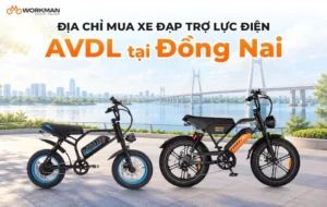 Địa chỉ mua xe đạp trợ lực điện AVDL tại Đồng Nai