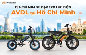Địa chỉ mua xe đạp trợ lực điện AVDL tại Hồ Chí Minh