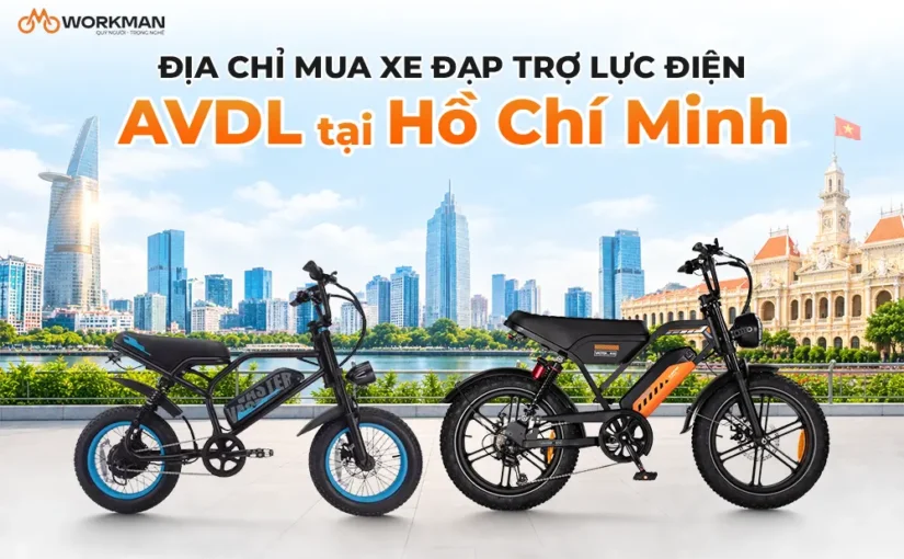 Địa chỉ mua xe đạp trợ lực điện AVDL tại Hồ Chí Minh